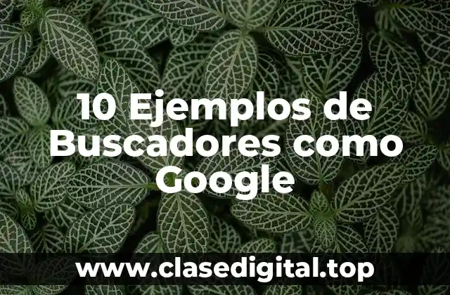 10 Ejemplos de Buscadores como Google