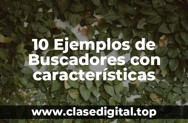 10 Ejemplos de Buscadores con características
