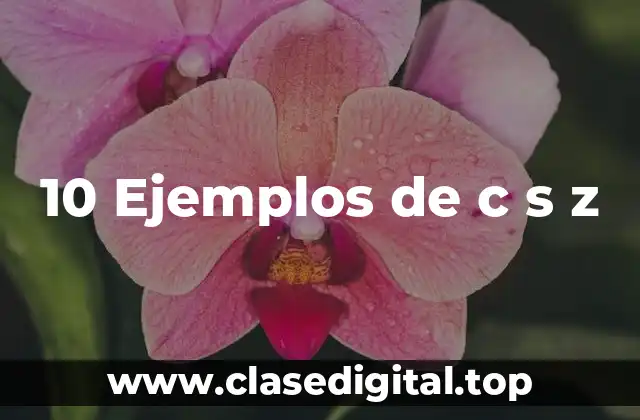 10 Ejemplos de c s z