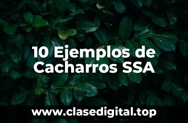10 Ejemplos de Cacharros SSA