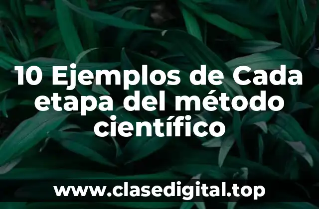 10 Ejemplos de Cada etapa del método científico