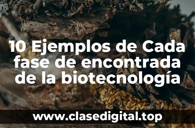 10 Ejemplos de Cada fase de encontrada de la biotecnología