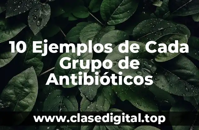 10 Ejemplos de Cada Grupo de Antibióticos
