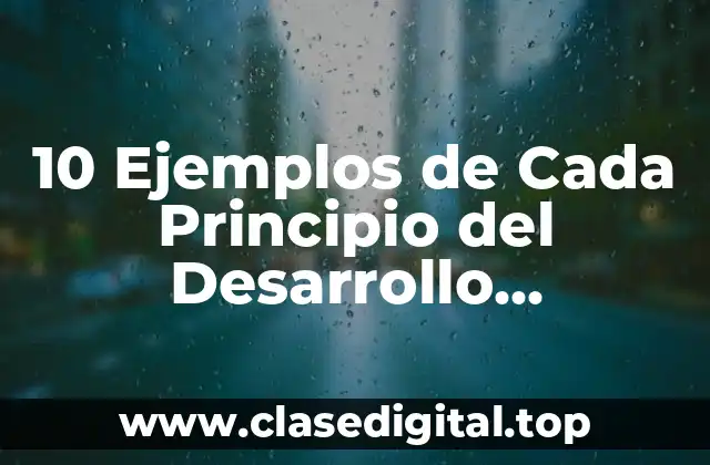 10 Ejemplos de Cada Principio del Desarrollo Sostenible