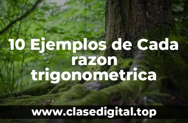 10 Ejemplos de Cada razon trigonometrica