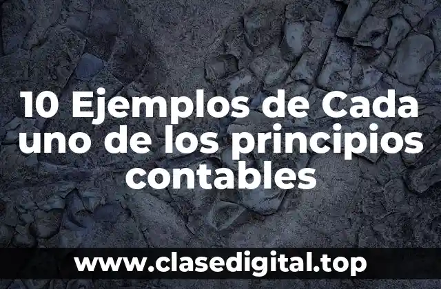 Ejemplos de principios contables
