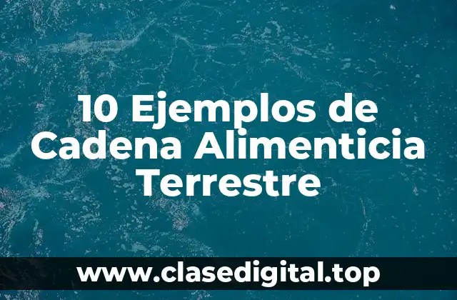 10 Ejemplos de Cadena Alimenticia Terrestre