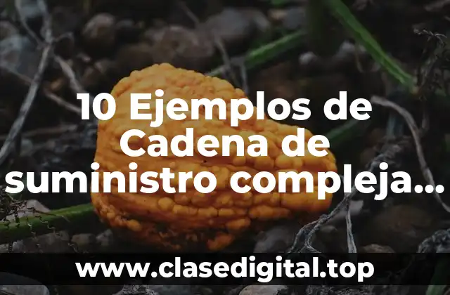 10 Ejemplos de Cadena de suministro compleja de empresas