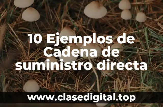 10 Ejemplos de Cadena de suministro directa