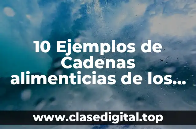 10 Ejemplos de Cadenas alimenticias de los polos