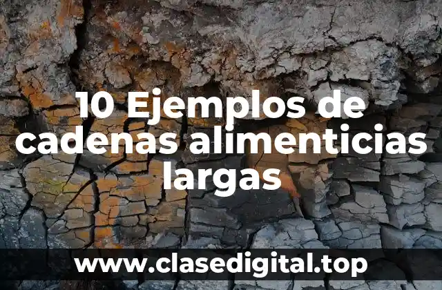 10 Ejemplos de cadenas alimenticias largas