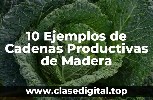 10 Ejemplos de Cadenas Productivas de Madera