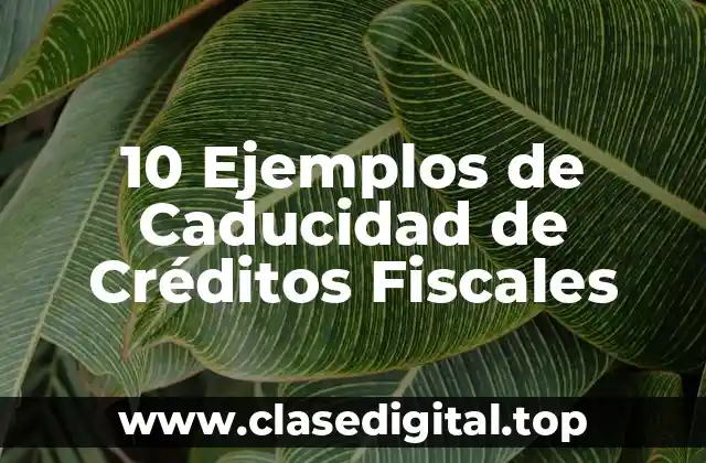 10 Ejemplos de Caducidad de Créditos Fiscales