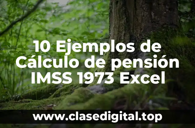 10 Ejemplos de Cálculo de pensión IMSS 1973 Excel