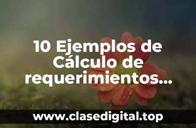 Ejemplos de cálculo de requerimientos energéticos según actividad física