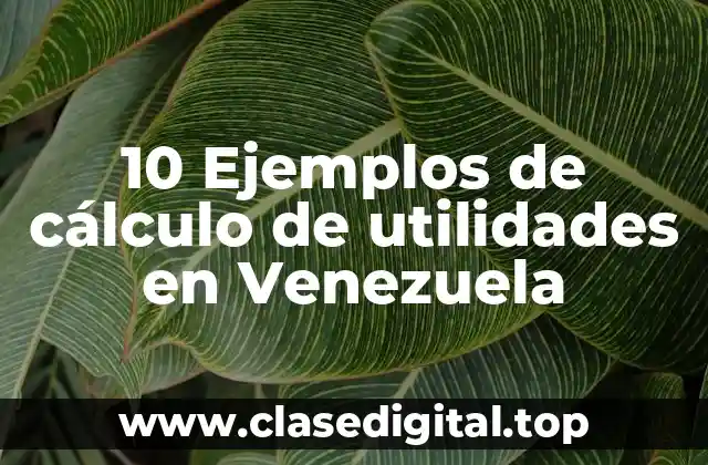 10 Ejemplos de cálculo de utilidades en Venezuela