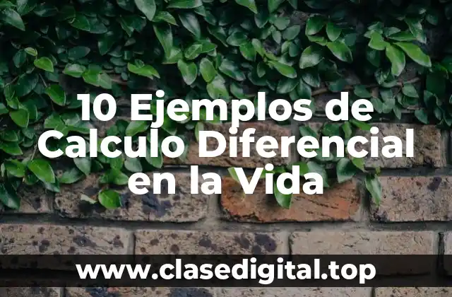 10 Ejemplos de Calculo Diferencial en la Vida