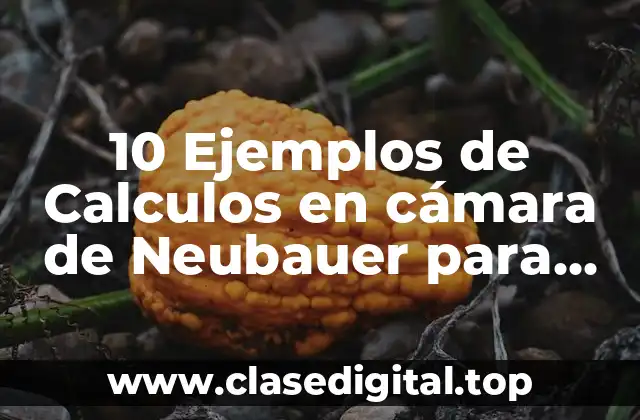 10 Ejemplos de Calculos en cámara de Neubauer para conteo leucocitos