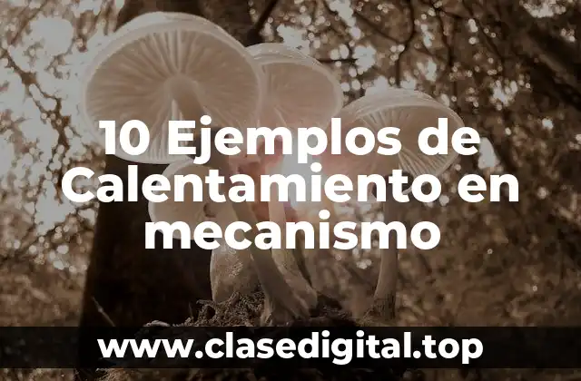 10 Ejemplos de Calentamiento en mecanismo