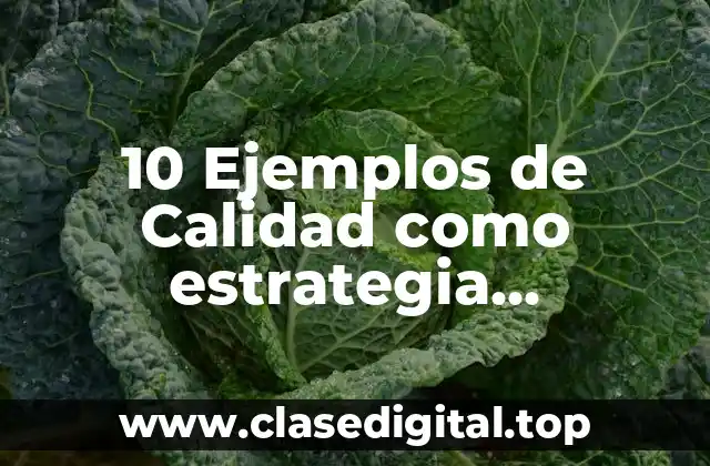 10 Ejemplos de Calidad como estrategia competitiva