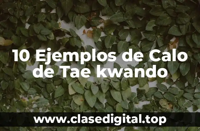 10 Ejemplos de Calo de Tae kwando
