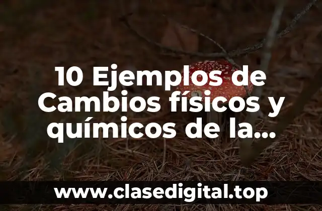 10 Ejemplos de Cambios físicos y químicos de la materia
