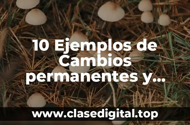 10 Ejemplos de Cambios permanentes y temporales atmosféricos