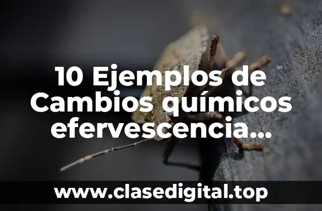 10 Ejemplos de Cambios químicos efervescencia cerveza