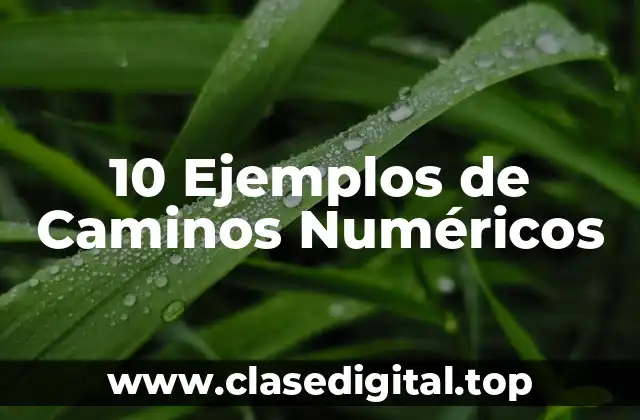 10 Ejemplos de Caminos Numéricos