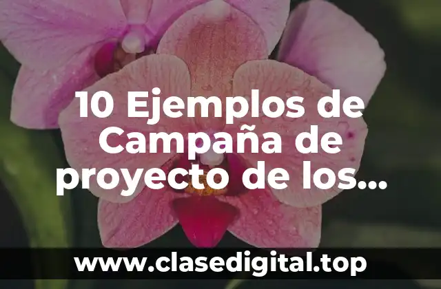 10 Ejemplos de Campaña de proyecto de los candidatos