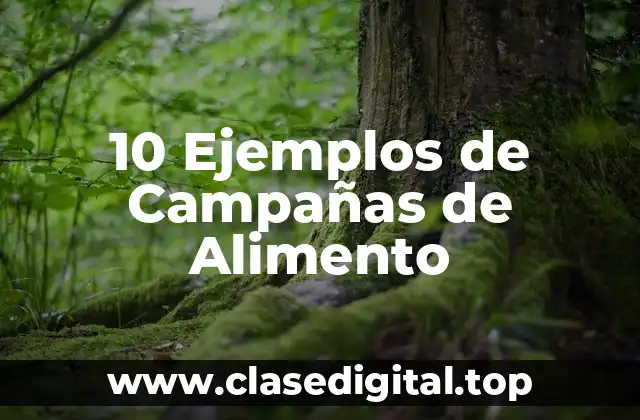 10 Ejemplos de Campañas de Alimento