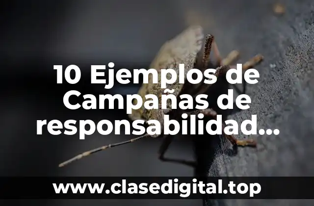 10 Ejemplos de Campañas de responsabilidad social