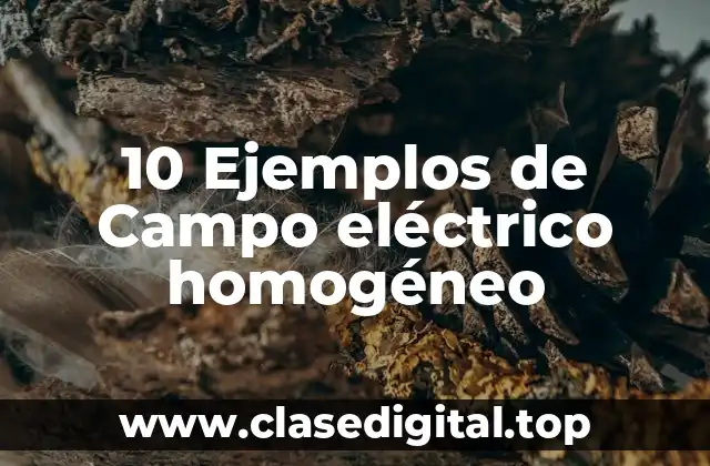 10 Ejemplos de Campo eléctrico homogéneo