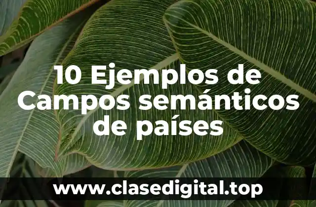 10 Ejemplos de Campos semánticos de países