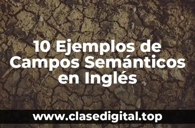 10 Ejemplos de Campos Semánticos en Inglés