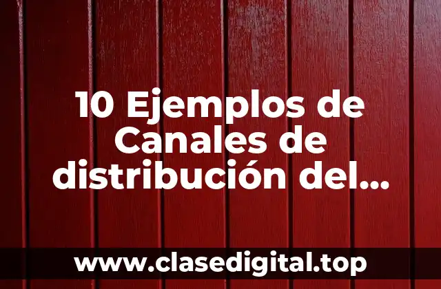 Ejemplos de canales de distribución del comercio electrónico