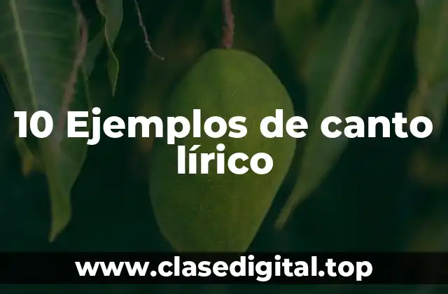 10 Ejemplos de canto lírico