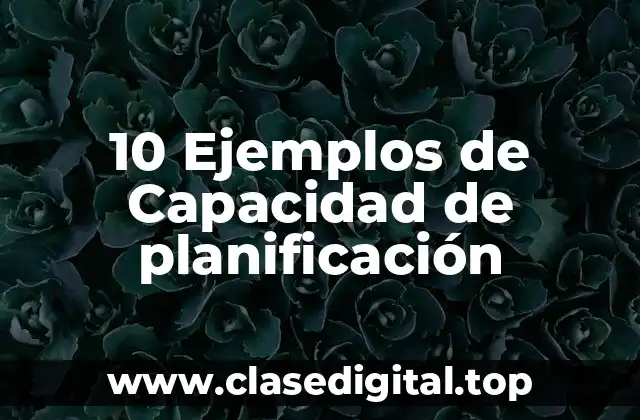 10 Ejemplos de Capacidad de planificación