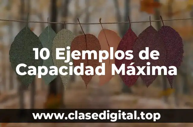 10 Ejemplos de Capacidad Máxima