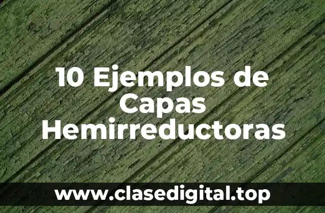 10 Ejemplos de Capas Hemirreductoras