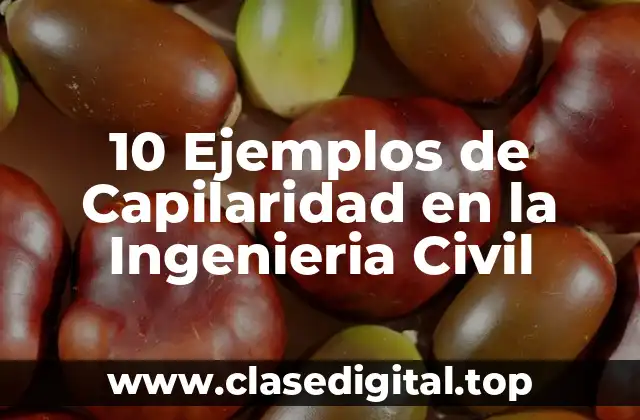 10 Ejemplos de Capilaridad en la Ingenieria Civil