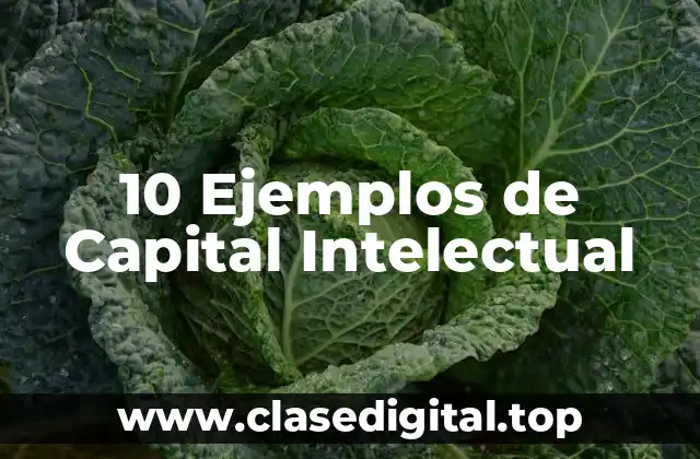 10 Ejemplos de Capital Intelectual