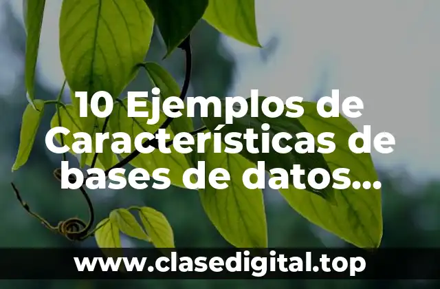10 Ejemplos de Características de bases de datos orientadas a objetos