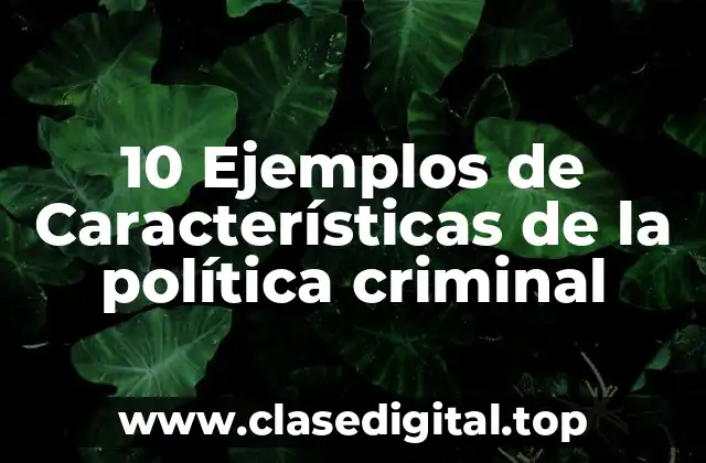 10 Ejemplos de Características de la política criminal