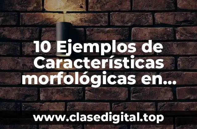 10 Ejemplos de Características morfológicas en biología