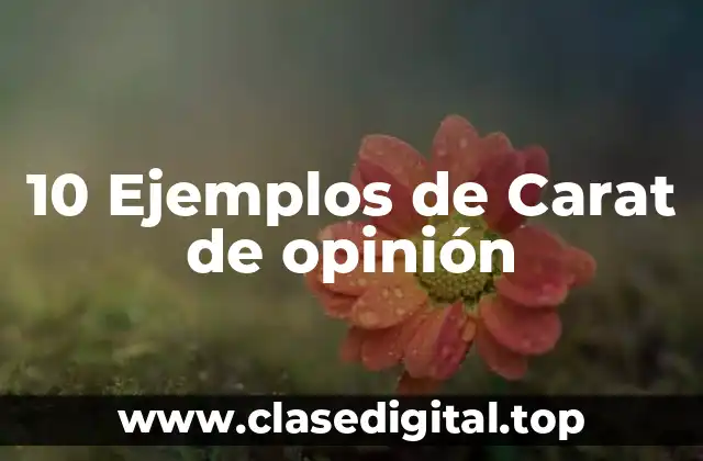 10 Ejemplos de Carat de opinión