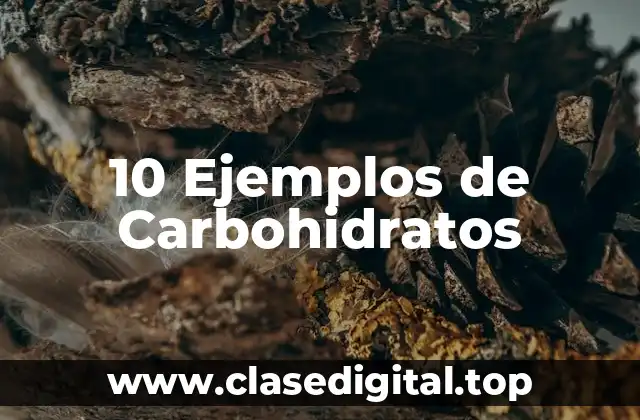 10 Ejemplos de Carbohidratos