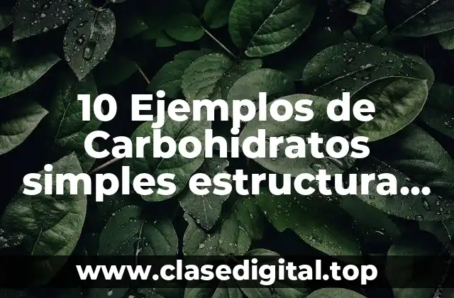 10 Ejemplos de Carbohidratos simples estructura química