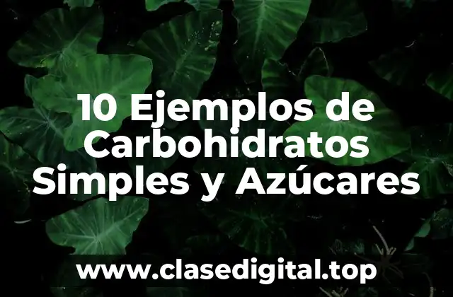 10 Ejemplos de Carbohidratos Simples y Azúcares
