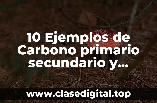 10 Ejemplos de Carbono primario secundario y terciario